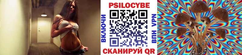 Купить закладки  Сосновка  Псилоцибиновые грибы Psilocybe 